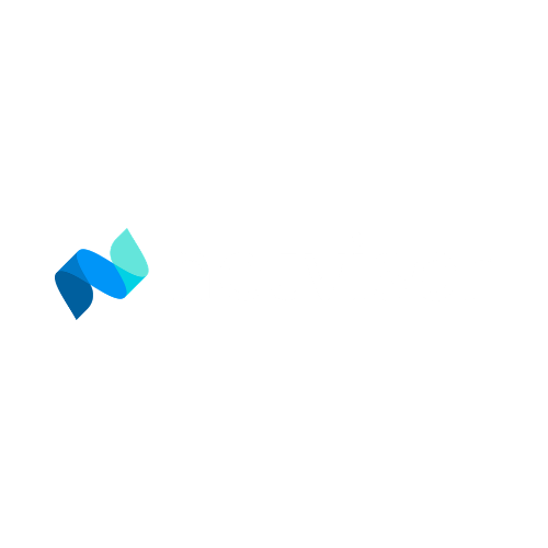 Netvisor Logo