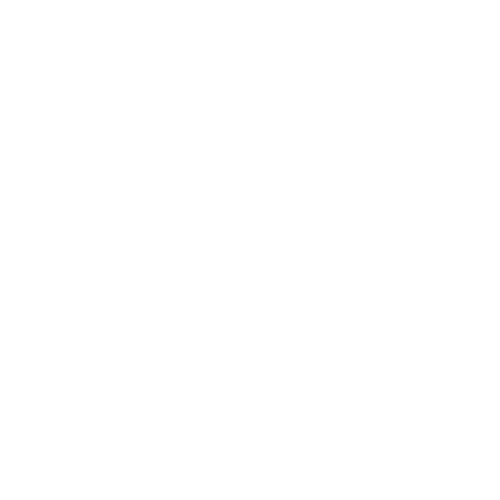 Aceve Logo