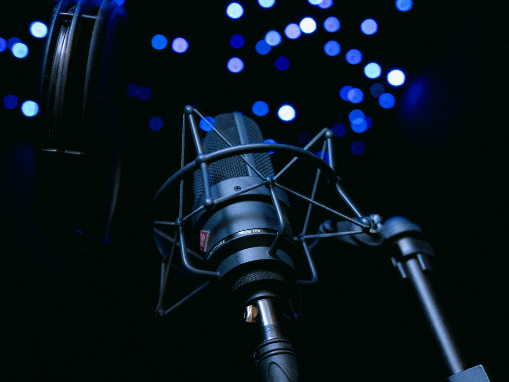 Neumann TLM 103 microphone at Kobra Entertainment
